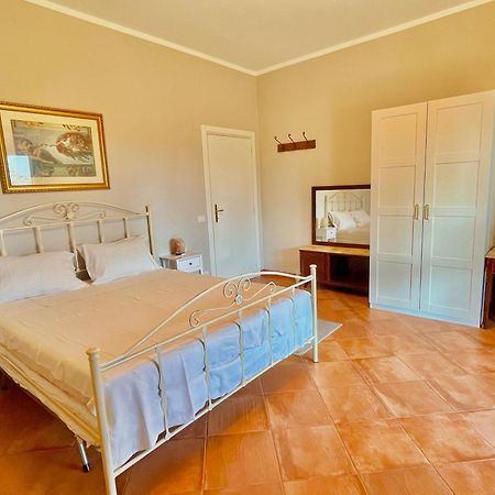 B&B Terre Toscane Ciggiano Eksteriør billede